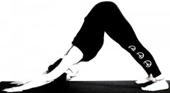 Adho Mukha Svanasana