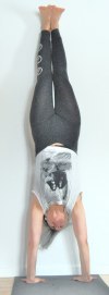 Adho Mukha Vrksasana