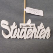 Studentstick