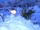 12v halogen i vinterskrud