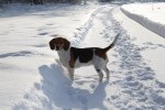 IMG_0688