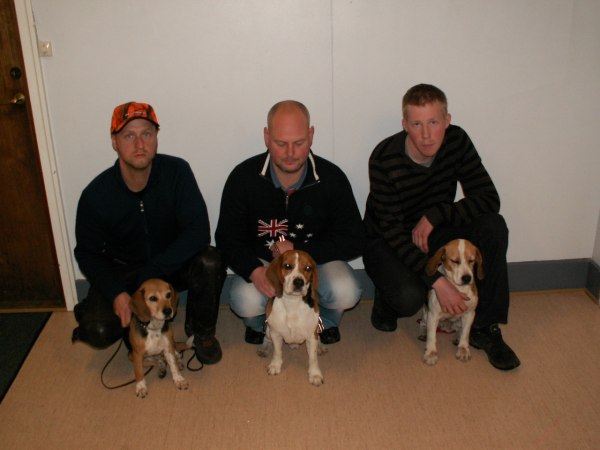 Förare med hundar är från vänster Martin Larsson med Leja, Jonas Marcusson med Valle och Andreas Norberg med Tanja