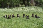 Fyra generationer!