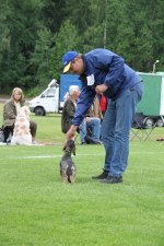 Husse in action!