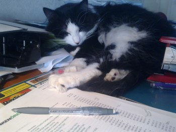 Gustav