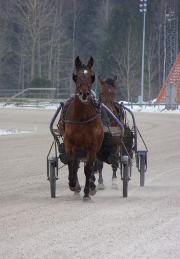 Don Juan Zon (Kerido du Donjon)