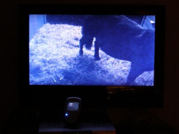 och in till tv:n i sovrummet...