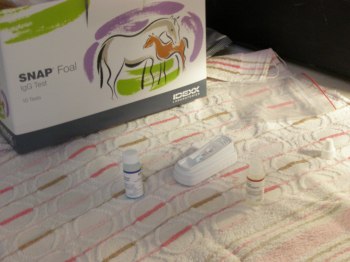 Foalcheck
