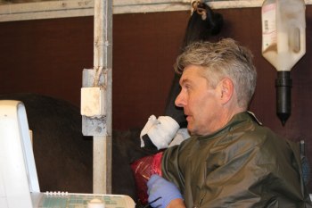 Veterinär Anders Edman