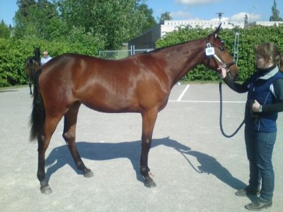 Favourite Zon (Going Kronos - Wirana Lady)
