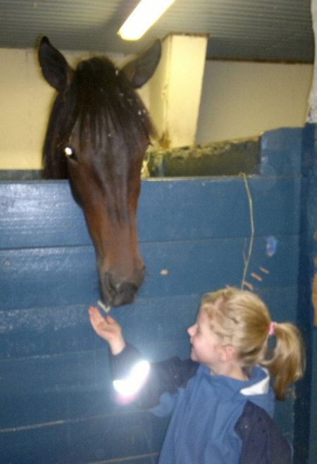 Lovisa matar Follow Me Zon (Donato Hanover)