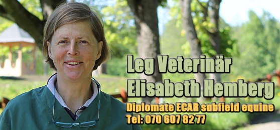 Klicka på bilden för att komma till veterinär Elisabeth Hembergs hemsida
